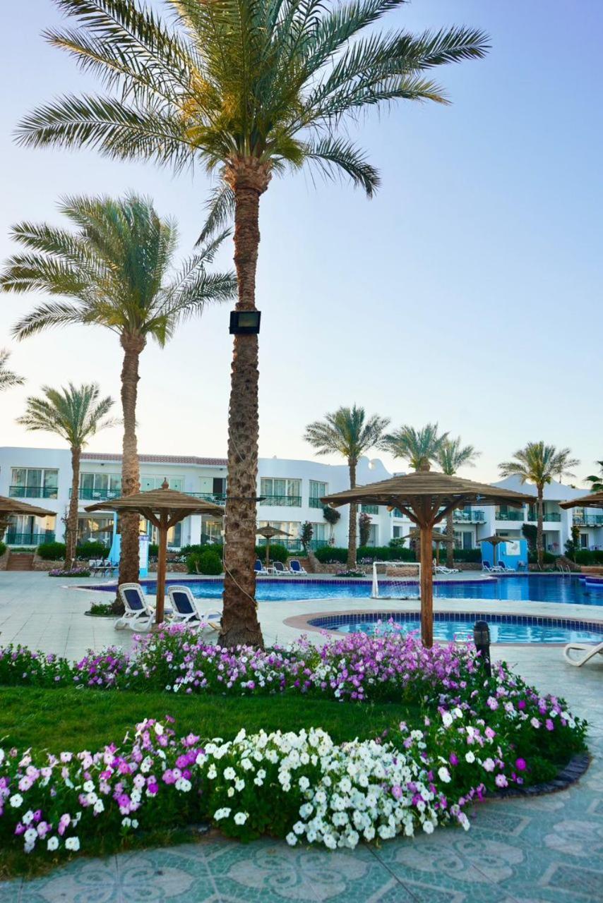 Panorama Naama Heights Курортний комплекс